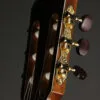 Kremona Verea Nylon String Acoustic Electric Guitar – New