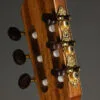 Kremona Verea Nylon String Acoustic Electric Guitar – New