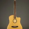 L.R. Baggs AEG-1 Torrefied Spruce Acoustic-Electric Guitar-New