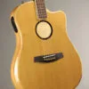 L.R. Baggs AEG-1 Torrefied Spruce Acoustic-Electric Guitar-New