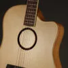 L.R. Baggs AEG-1 Torrefied Spruce Acoustic-Electric Guitar-New