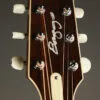 L.R. Baggs AEG-1 Torrefied Spruce Acoustic-Electric Guitar-New