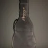 L.R. Baggs AEG-1 Torrefied Spruce Acoustic-Electric Guitar-New