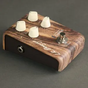 L.R. Baggs Align Series Chorus New