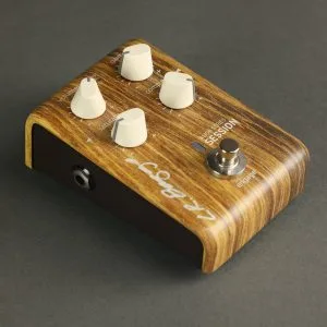 L.R. Baggs Align Series Session