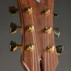 Lambdin-Morello Coastal Semihollow Guitar – New
