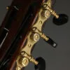 Lambdin-Morello Parlor Crossover Nylon String Guitar – New