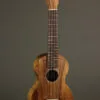 Martin C1K Concert Ukulele – New