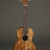 Martin C1K Concert Ukulele – New