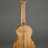 Martin C1K Concert Ukulele – New