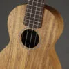 Martin C1K Concert Ukulele – New