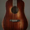 Martin D Jr E StreetMaster Acoustic Electric Guitar – New