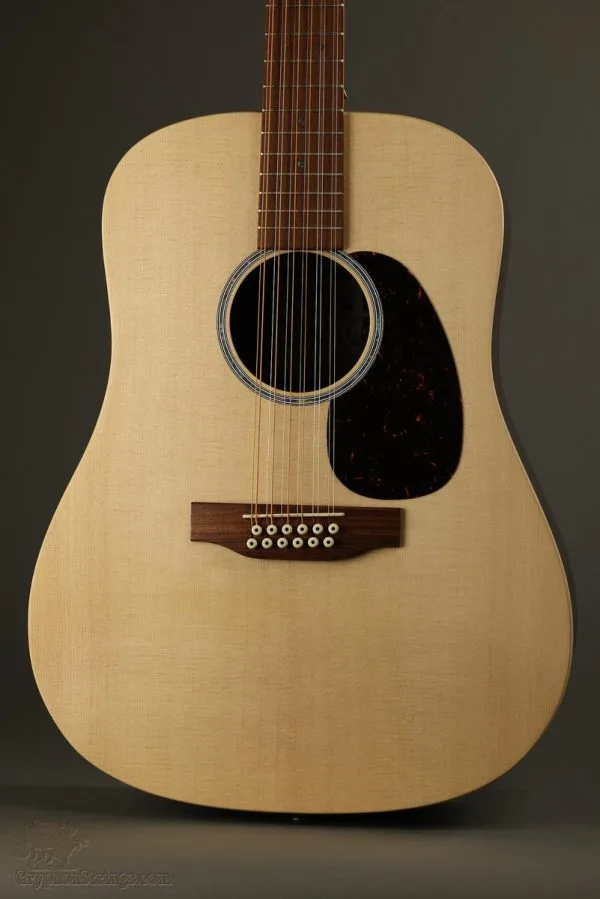 Martin D-X2E Brazilian 12 String Acoustic Guitar – New