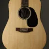 Martin D-X2E Brazilian 12 String Acoustic Guitar – New