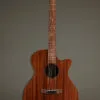 Martin GPC-10E Acoustic-Electric Guitar – New