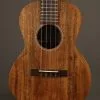 Martin T1K Tenor Ukulele – New