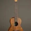 Martin T1K Tenor Ukulele – New