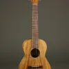 Martin T1K Tenor Ukulele – New