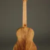 Martin T1K Tenor Ukulele – New