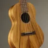 Martin T1K Tenor Ukulele – New