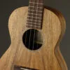 Martin T1K Tenor Ukulele – New