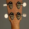 Martin T1K Tenor Ukulele – New