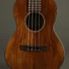 Martin TKE Acoustic Electric Tenor Ukulele – New