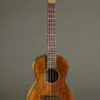 Martin TKE Acoustic Electric Tenor Ukulele – New