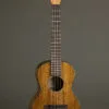 Martin TKE Acoustic Electric Tenor Ukulele – New