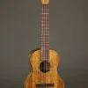Martin TKE Acoustic Electric Tenor Ukulele – New