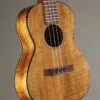 Martin TKE Acoustic Electric Tenor Ukulele – New