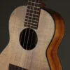 Martin TKE Acoustic Electric Tenor Ukulele – New