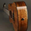 Martin TKE Acoustic Electric Tenor Ukulele – New