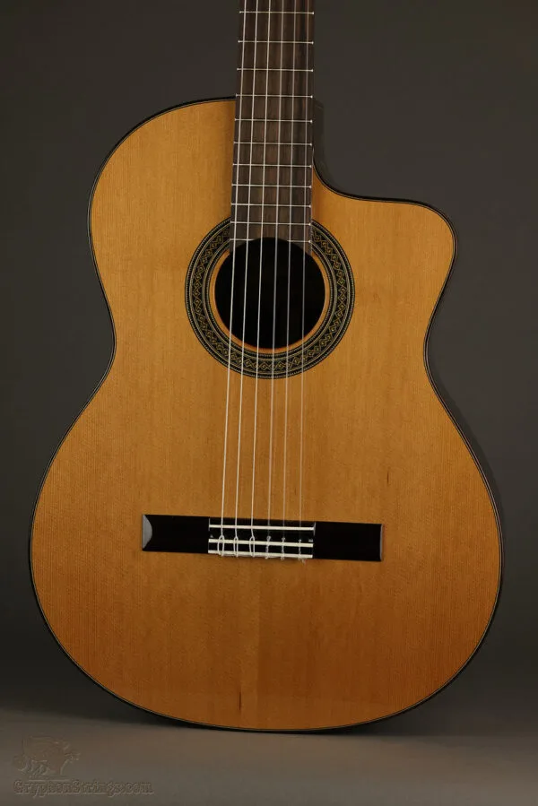 New World Estudio E650 Cedar Fingerstyle Classical – New