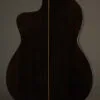 New World Estudio E650 Cedar Fingerstyle Classical – New