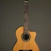 New World Estudio E650 Cedar Fingerstyle Classical – New