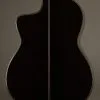 New World Player P650 Cedar Fingerstyle Classical Guitar – New
