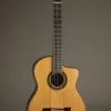 New World Player P650 Cedar Fingerstyle Classical Guitar – New