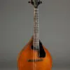Northfield A4 Special NFMSP-A4 Amber Gloss Mandolin – New
