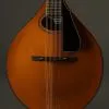 Northfield A4 Special NFMSP-A4 Mandolin – New