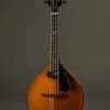 Northfield A4 Special NFMSP-A4 Mandolin – New