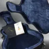 Northfield Archtop Octave NFO-AT1 Mandolin – New