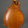 Northfield Artist Series NFA-F51I 5-Bar Bracing Mandolin – New