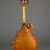 Northfield Artist Series NFA-F51I 5-Bar Bracing Mandolin – New