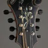 Northfield Artist Series NFA-F51I 5-Bar Bracing Mandolin – New