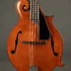 Northfield Big Mon NFB-F5IWN Amber Gloss Italian Spruce Wide Nut – New