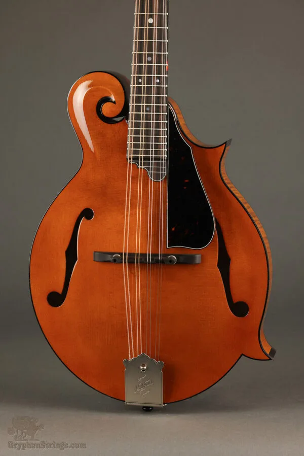 Northfield Big Mon NFB-F5IWN Amber Gloss Italian Spruce Wide Nut – New