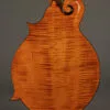 Northfield Big Mon NFB-F5IWN Amber Gloss Italian Spruce Wide Nut – New