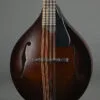 Northfield Model M NFM-A5 Dark Leather Burst – New