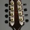 Northfield Model M NFM-A5 Dark Leather Burst – New